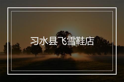 习水县飞雪鞋店