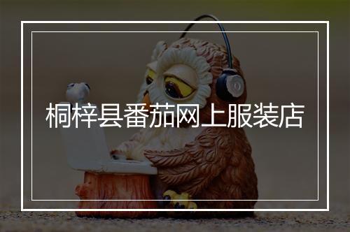 桐梓县番茄网上服装店