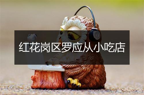 红花岗区罗应从小吃店