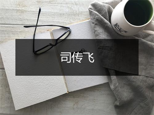 司传飞