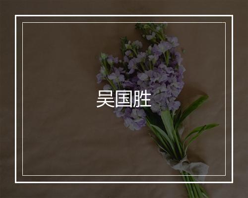 吴国胜
