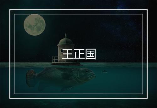 王正国