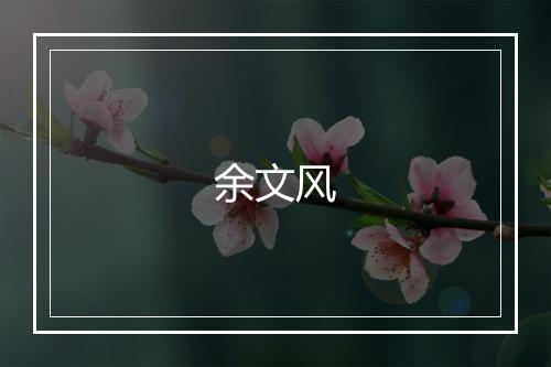 余文风