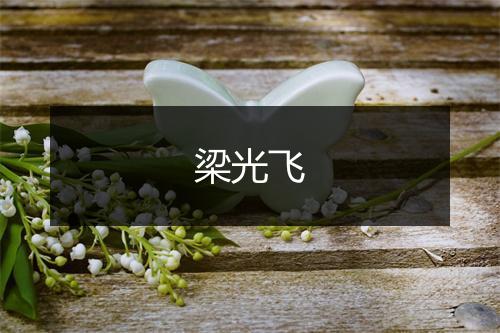 梁光飞