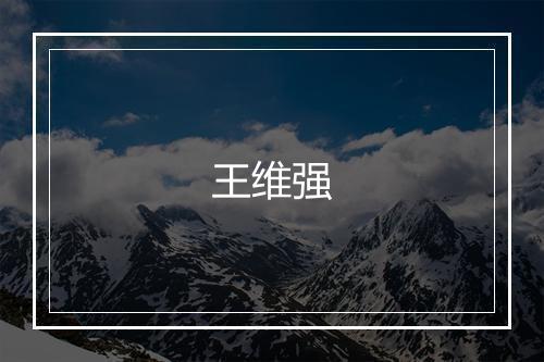 王维强