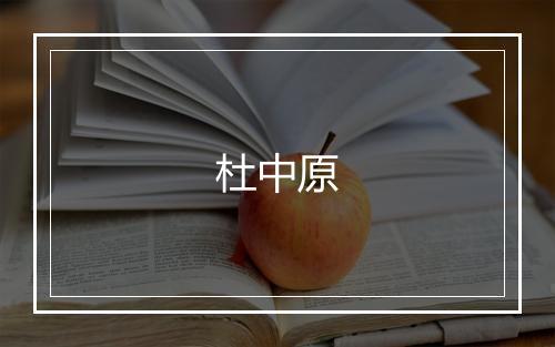 杜中原