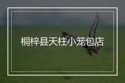 桐梓县天柱小笼包店