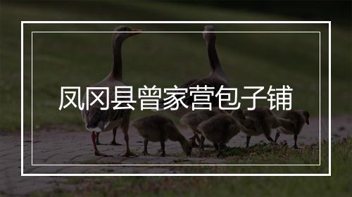 凤冈县曾家营包子铺