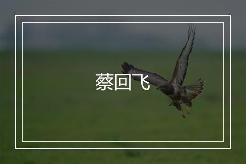 蔡回飞
