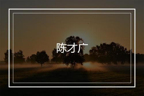 陈才广