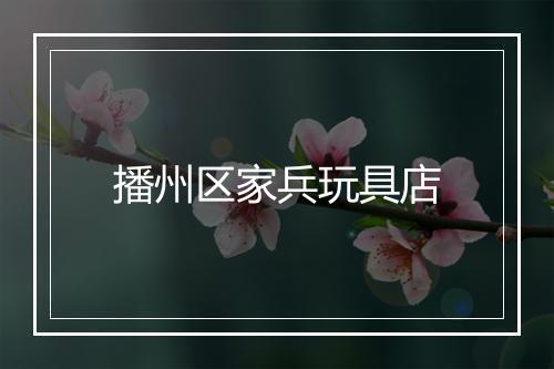 播州区家兵玩具店
