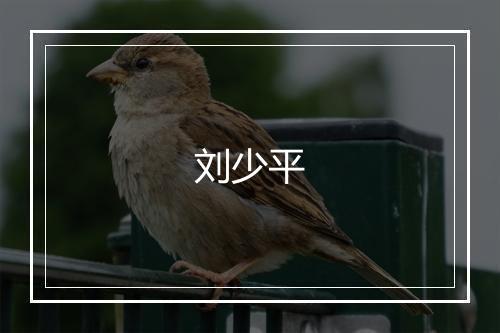 刘少平
