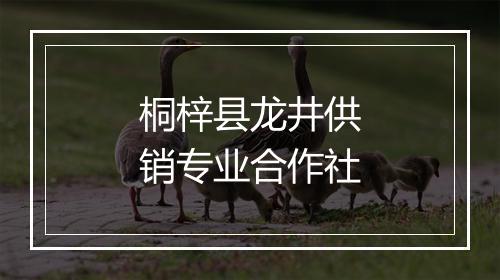 桐梓县龙井供销专业合作社
