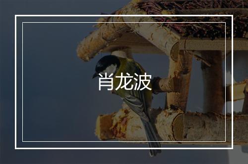 肖龙波