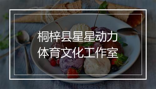 桐梓县星星动力体育文化工作室