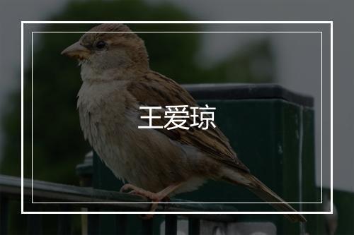王爱琼