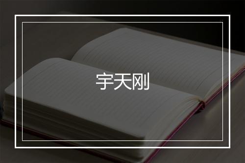 宇天刚