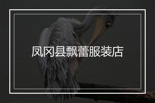 凤冈县飘蕾服装店