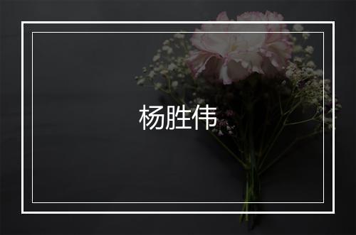 杨胜伟