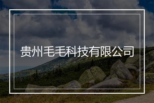 贵州毛毛科技有限公司