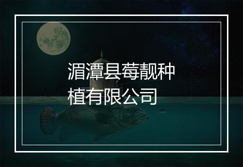 湄潭县莓靓种植有限公司