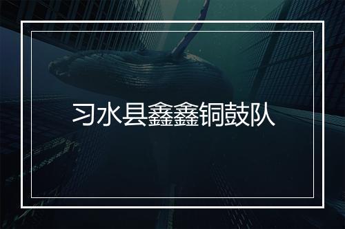 习水县鑫鑫铜鼓队