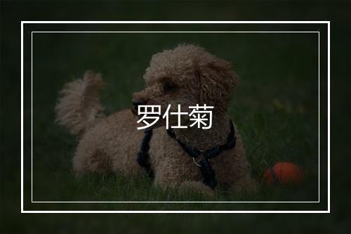 罗仕菊
