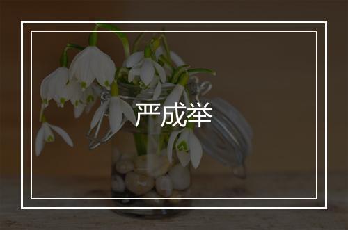 严成举
