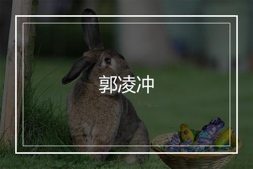 郭凌冲