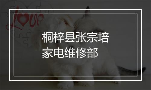 桐梓县张宗培家电维修部