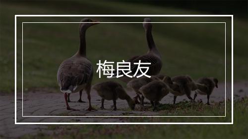 梅良友