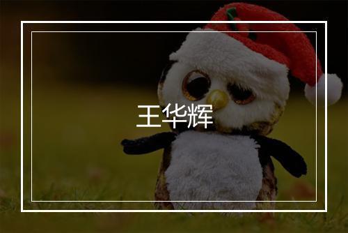王华辉