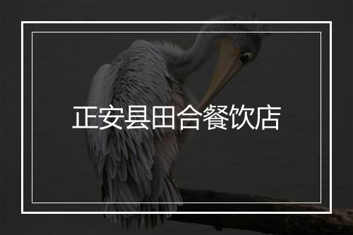 正安县田合餐饮店