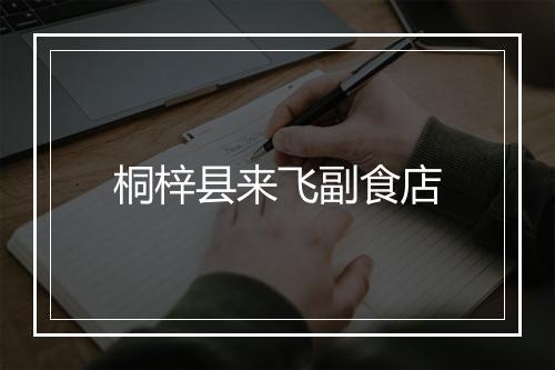 桐梓县来飞副食店