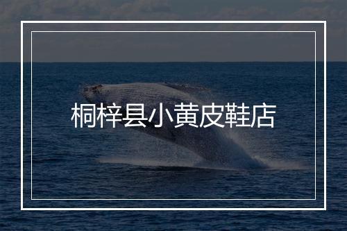 桐梓县小黄皮鞋店
