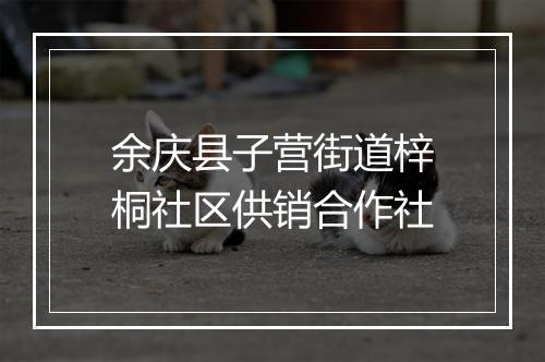 余庆县子营街道梓桐社区供销合作社