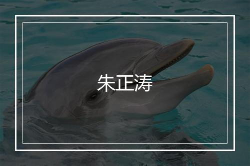 朱正涛