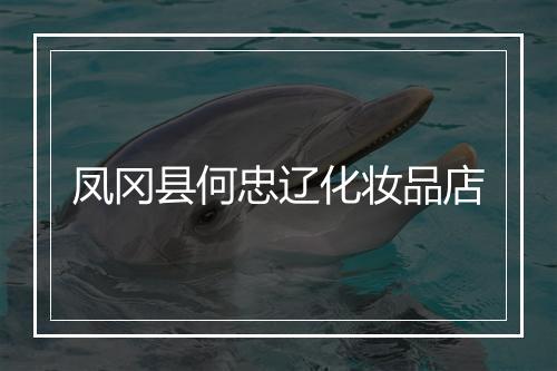 凤冈县何忠辽化妆品店