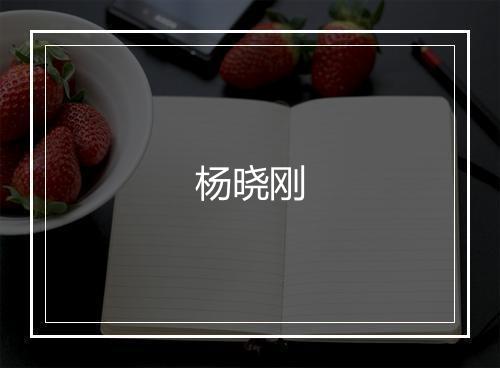 杨晓刚