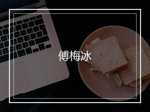 傅梅冰