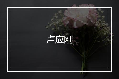 卢应刚