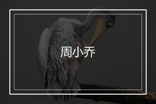 周小乔