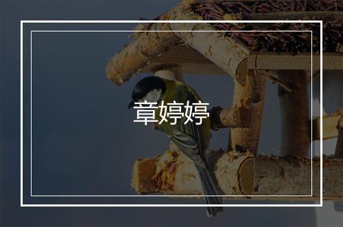 章婷婷