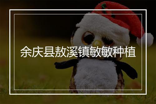 余庆县敖溪镇敏敏种植