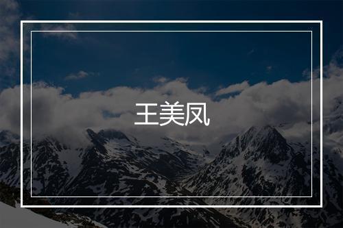 王美凤