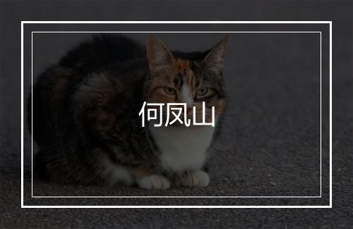 何凤山