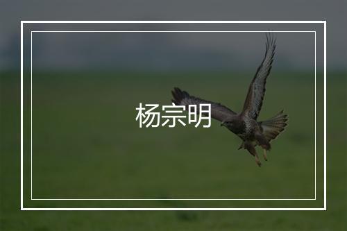 杨宗明