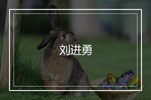 刘进勇