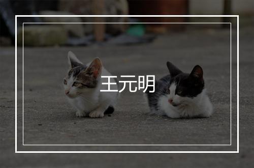 王元明