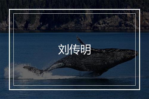 刘传明